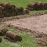 Fornitura e Posa Prato Rotoli Rimini
