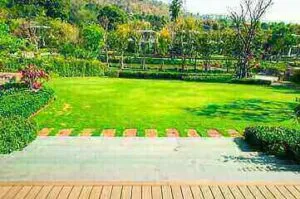 un giardino curato con prato tagliato e piante potate