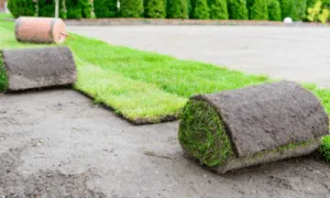 prato a rotoli pronto per essere posato su un terreno